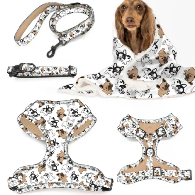 Harnais pour chien chiot coloré personnalisé, ensemble de 6 pièces, accessoires pour animaux de compagnie