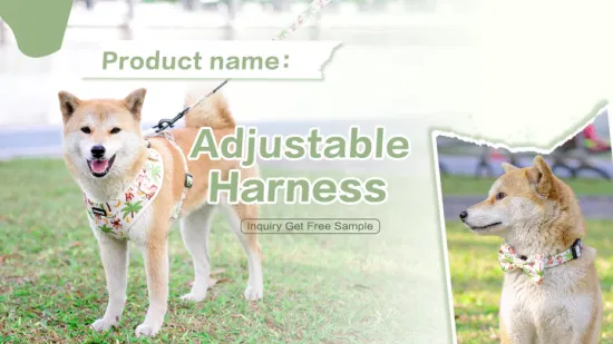 Hanyang Échantillon gratuit Conceptions personnalisées Harnais pour animaux de compagnie Gilet pour chien Harnais pour chien Harnais et laisse Designer de luxe Harnais pour chien personnalisé en gros